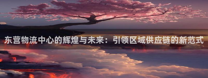 多多28如何看012路计划：东营物流