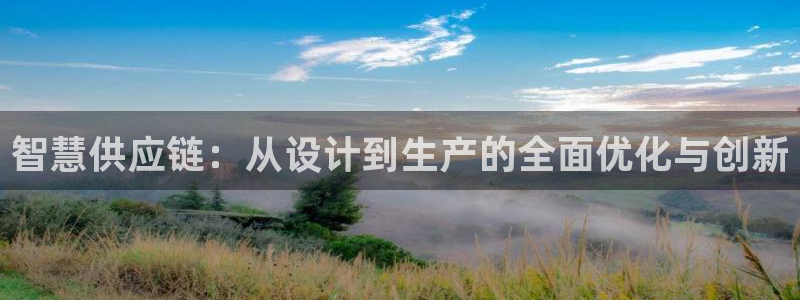 多多28加拿大最新版：智慧供应链：从设计到生产的全面优化与创