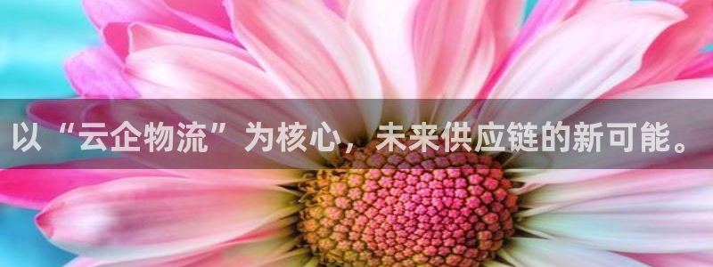 多多28南宫娱乐官网：以“云企物流”
