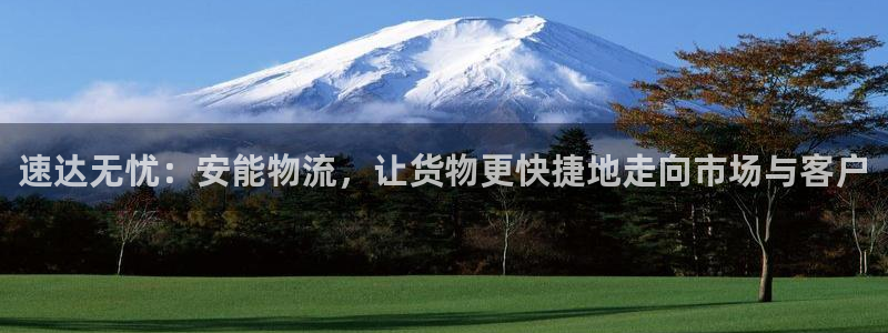 多多28加拿大预测:速达无忧:安能物