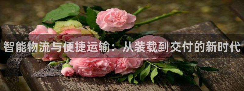 多多28防失联网址