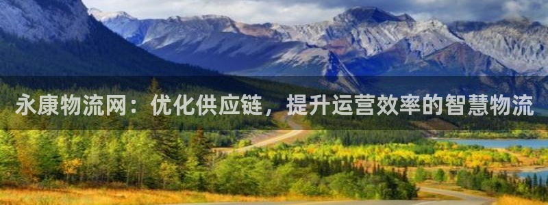 多多28官网入口：永康物流网：优化供应链，提升运营效率的智慧