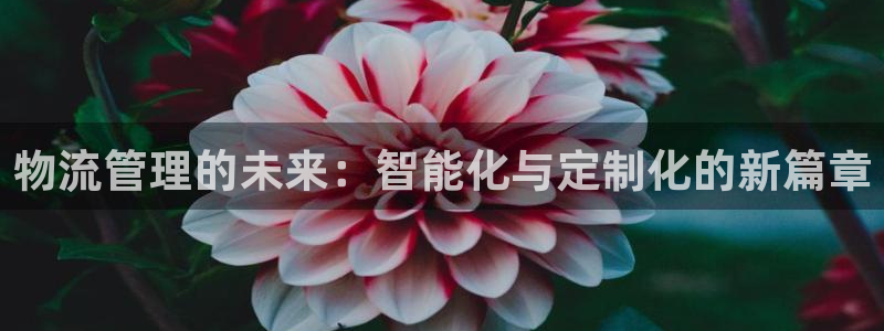 多多28ccm官网版