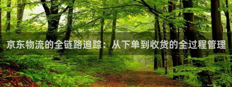 多多28免费：京东物流的全链路追踪：