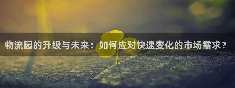 多多28黑钱：物流园的升级与未来：如