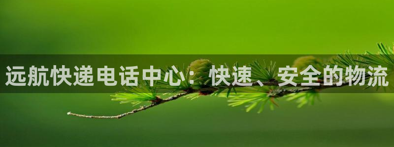 多多28注册与教程:远航快递电话中心