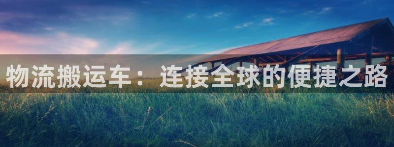 多多28自行车图片大全:物流搬运车: