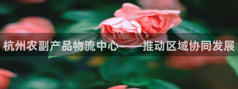 多多28加拿大在线预测