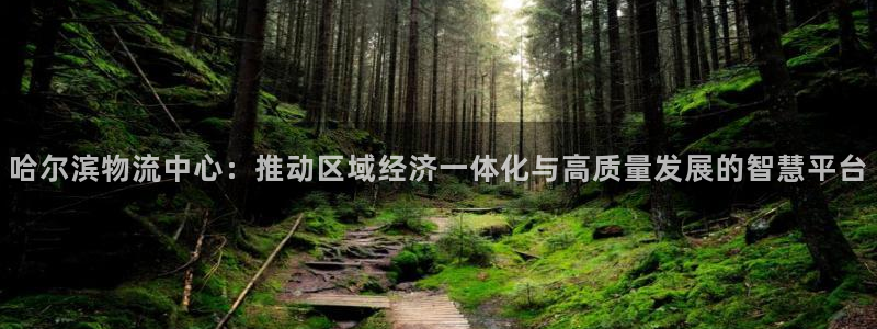 多多28合法吗：哈尔滨物流中心：推动区域经济一体化与高质量发