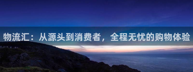 多多28模拟器在线使用：物流汇：从源头到消费者，全程无忧的购