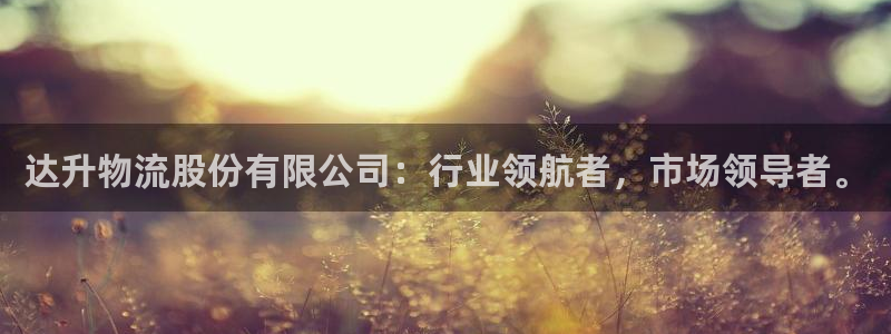 多多28如何退款:达升物流股份有限公