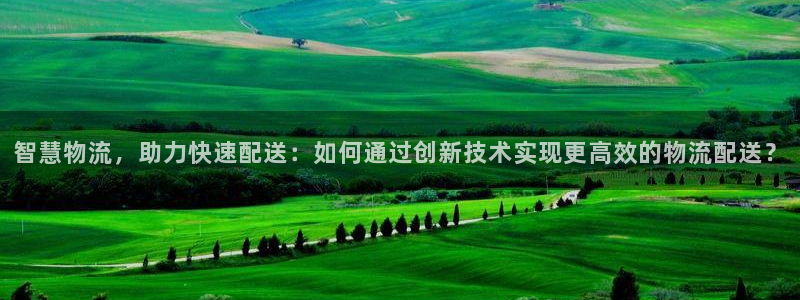 多多28犯法吗：智慧物流，助力快速配送：如何通过创新技术实现