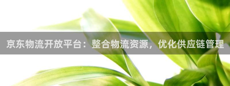 多多28为什么打不开：京东物流开放平台：整合物流资源，优化供