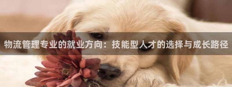多多28初始密码在哪里修改的