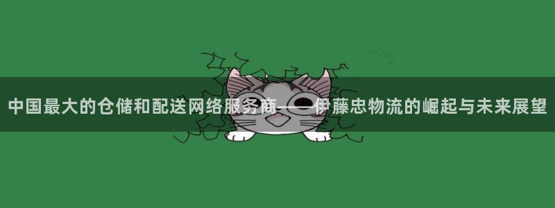 多多28相信品牌的力量:中国最大的仓