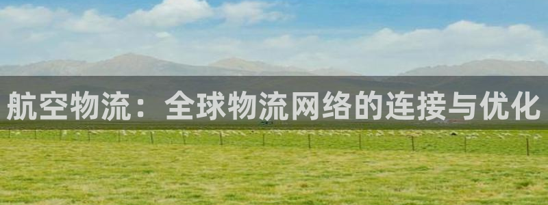 多多28免费：航空物流：全球物流网络的连接与优化