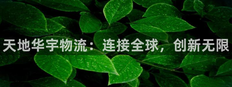 多多28官方网站